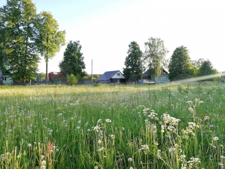 Участок 19,4 сот. (ИЖС)