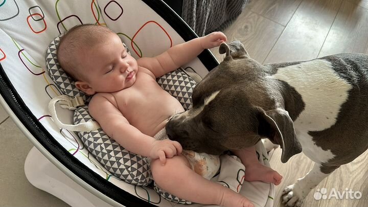 Mamaroo 4moms качели 4.0