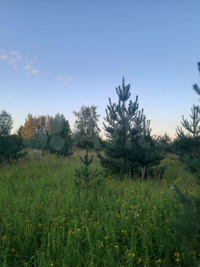 Участок 2,23 га (ИЖС)