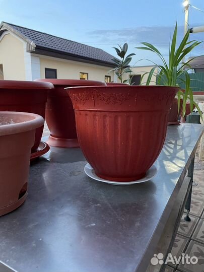 Горшок для цветов бу