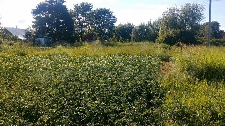 Участок 13,2 сот. (ИЖС)