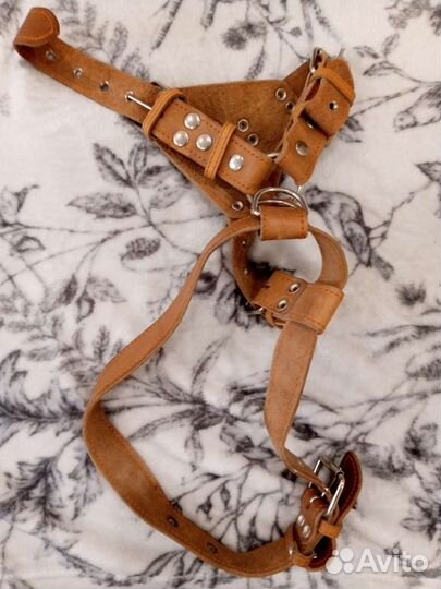 Поводок для большой собаки