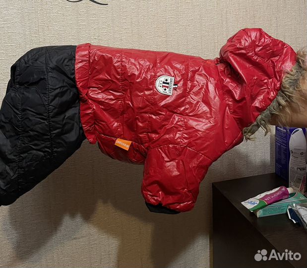 Одежда для собак средних пород