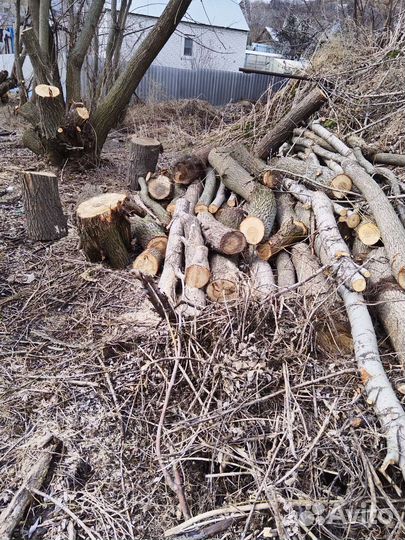 Дрова бесплатно самовывоз