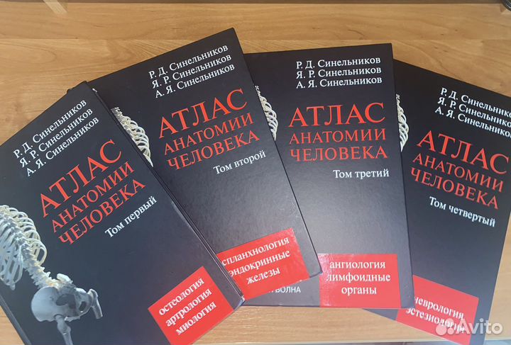 Атлас Синельникова