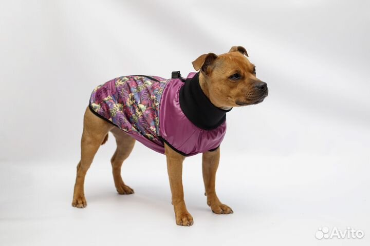 Жилет для собак