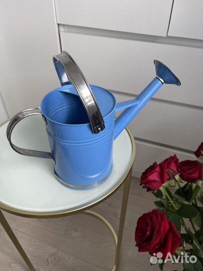 Лейка садовая металлическая