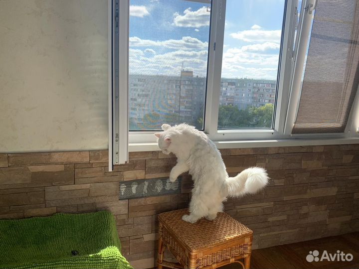 Москитные сетки на окна, двери, свое производство