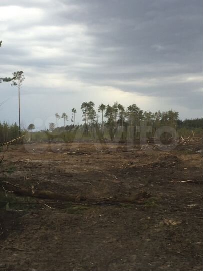 Участок 10 сот. (ИЖС)