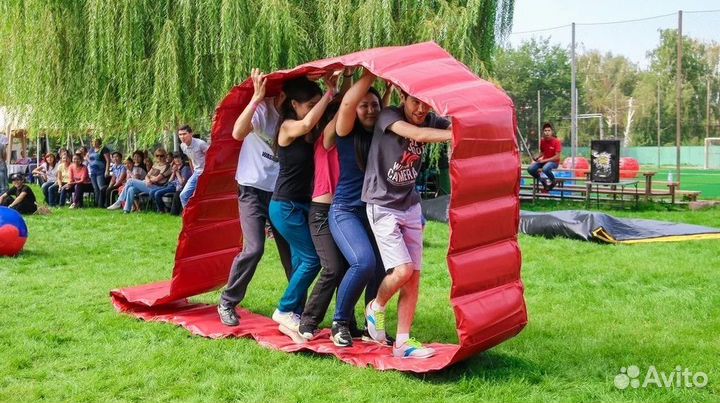 Тимбилдинг гусеницы