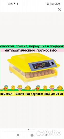 Продам инкубатор