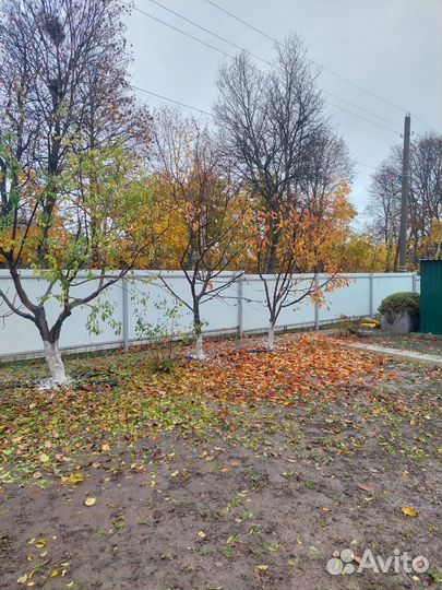 Обрезка спил деревьев