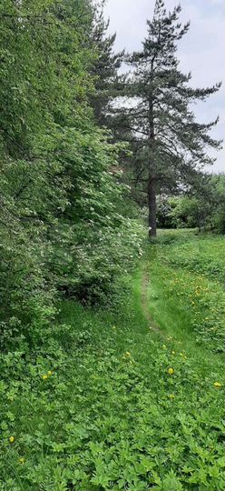 Дача 48 м² на участке 6 сот.