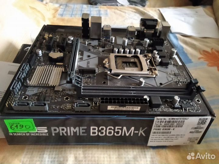 Материнская плата asus prime B365M-K