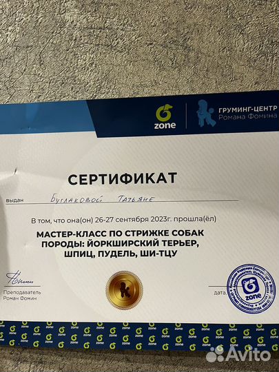 Стрижка собак, груминг сочи