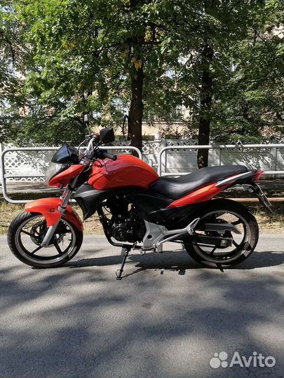 Stels flex 250