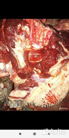 Мясо из головного