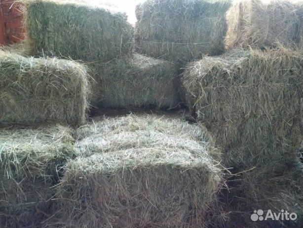 Сено в брикетах
