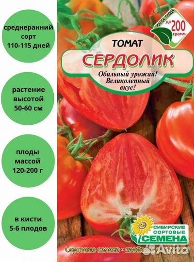 Рассада огурцов, помидор, садовых цветов