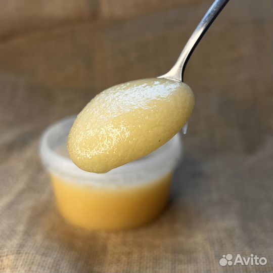 Мед донниковый