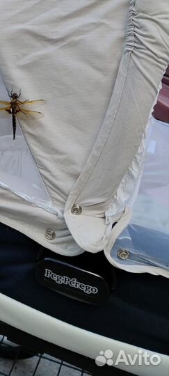 Коляска Peg Perego culla auto