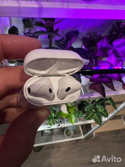 Наушники apple airpods