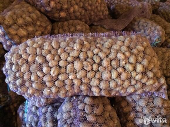 Картофель мелкий