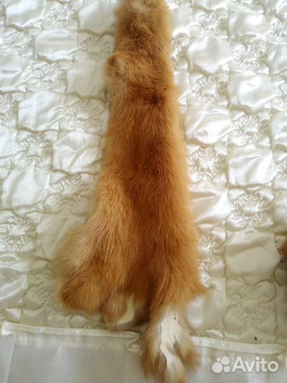 Шкурка животного лисы и соболя