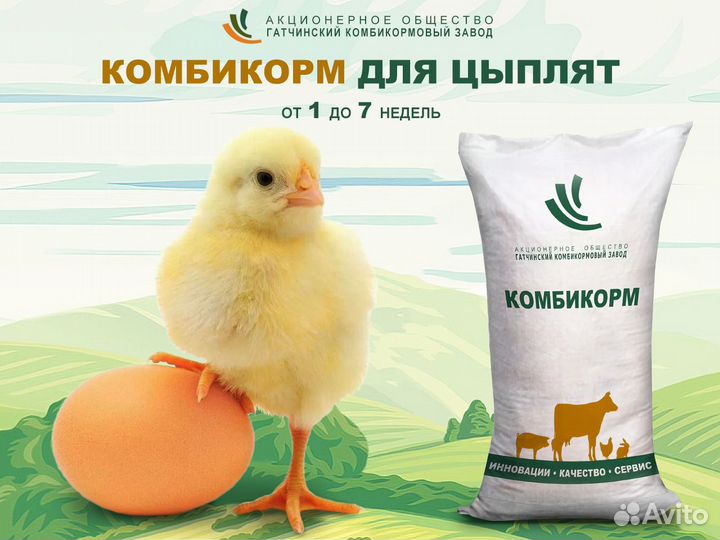 Комбикорма для птицы