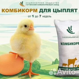 Продажа домашних животных - корма для свиней