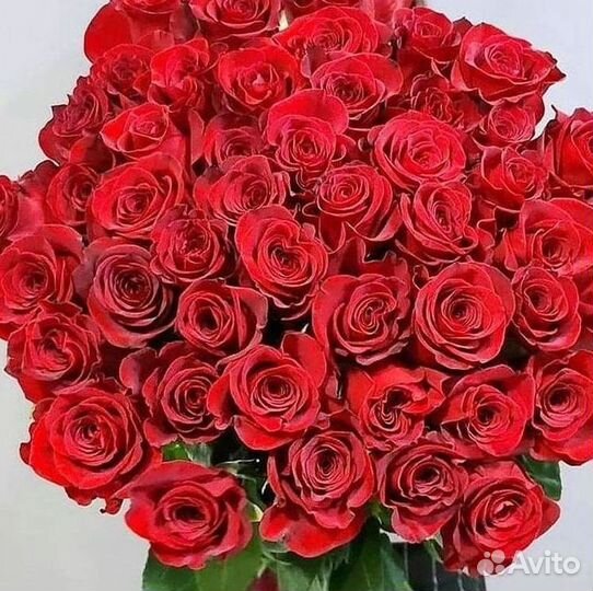 Высокие розы Гигантские розы Доставка цветов