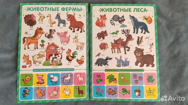 Набор обучающих плакатов