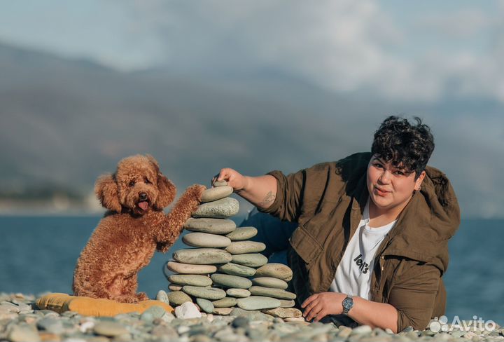 Передержка собак Индивидуальная