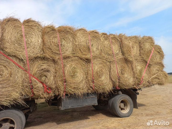 Сено в рулонах