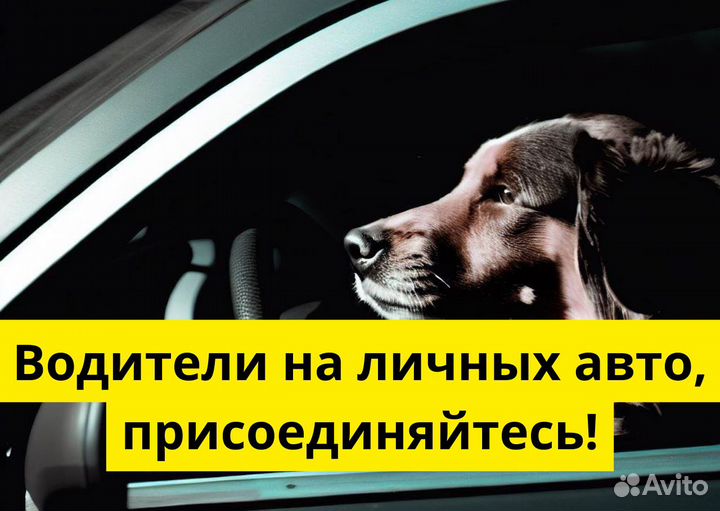 Парки-партнеры Яндекс Такси