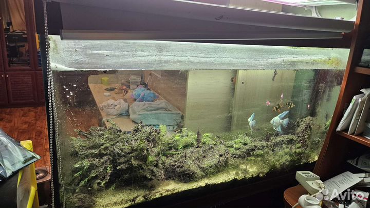 Аквариум б/у 280 л