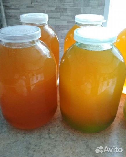 Мед башкирский липовый