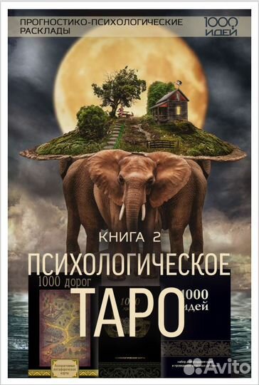 Книга двухтомник 