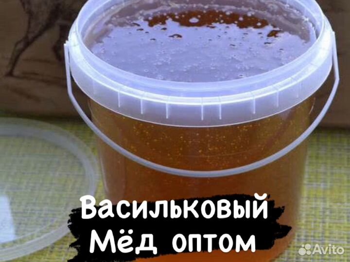 Мед оптом. Васильковой мёд