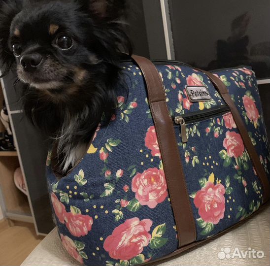 Сумка для маленьких собак
