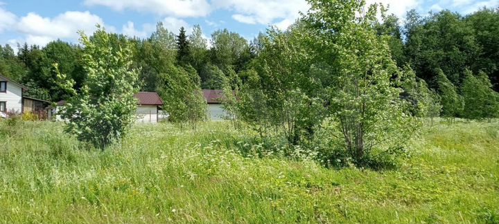 Участок 14,6 сот. (СНТ, ДНП)