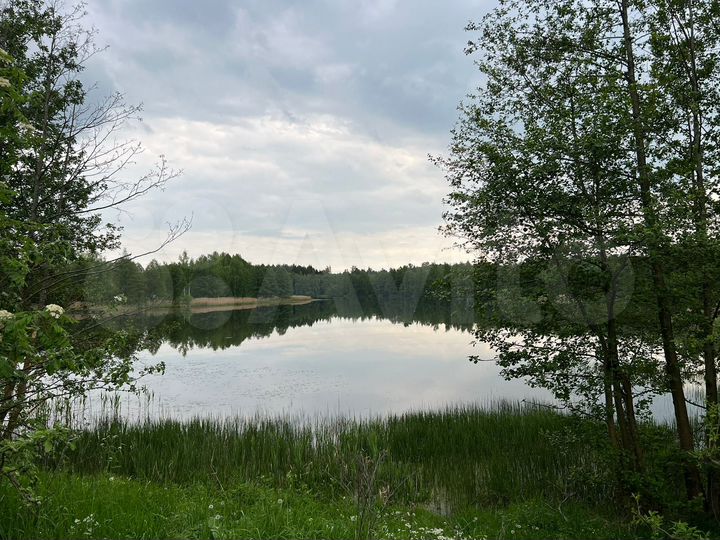 Участок 10 сот. (СНТ, ДНП)