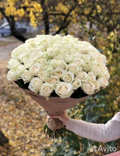 Розы с крупным бутоном