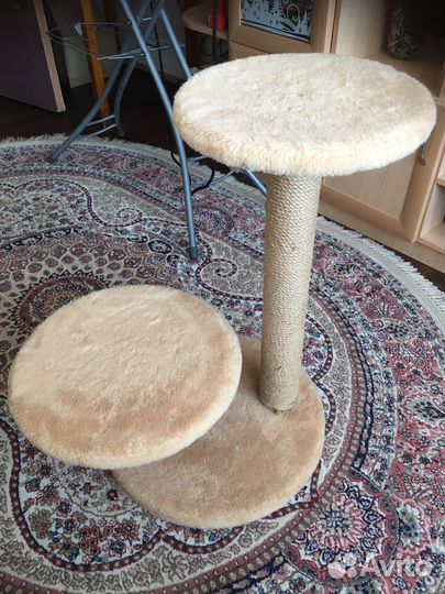 Когтеточка