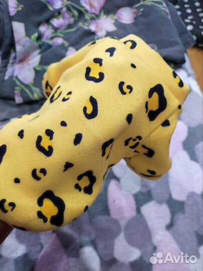 Одежда для собак