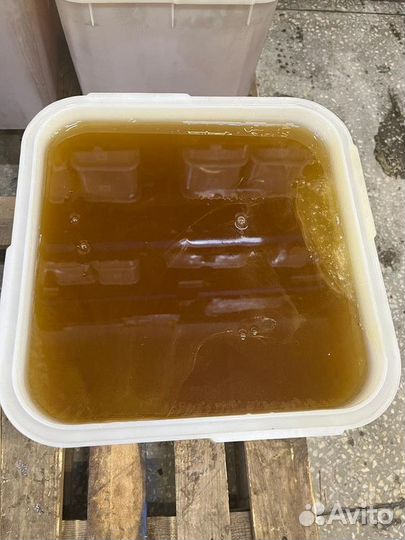 Эспарцетовый свежий мед оптом