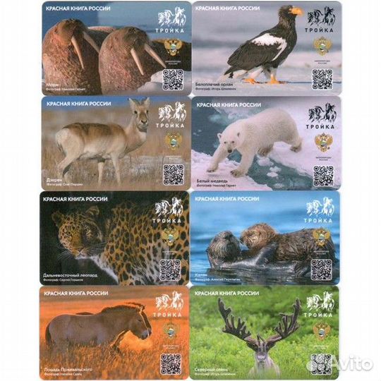 Карта Тройка Красная Книга