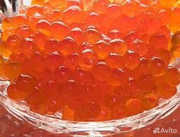 Красная Икра в банках по 500г парт V2024-R-9717