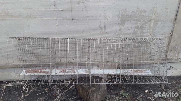 Клетки для кур несушек бу