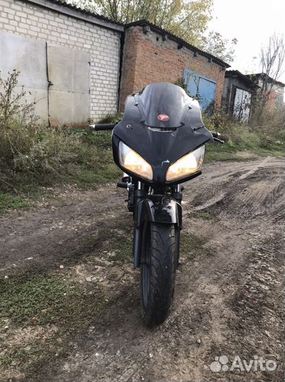 Patron sport 250